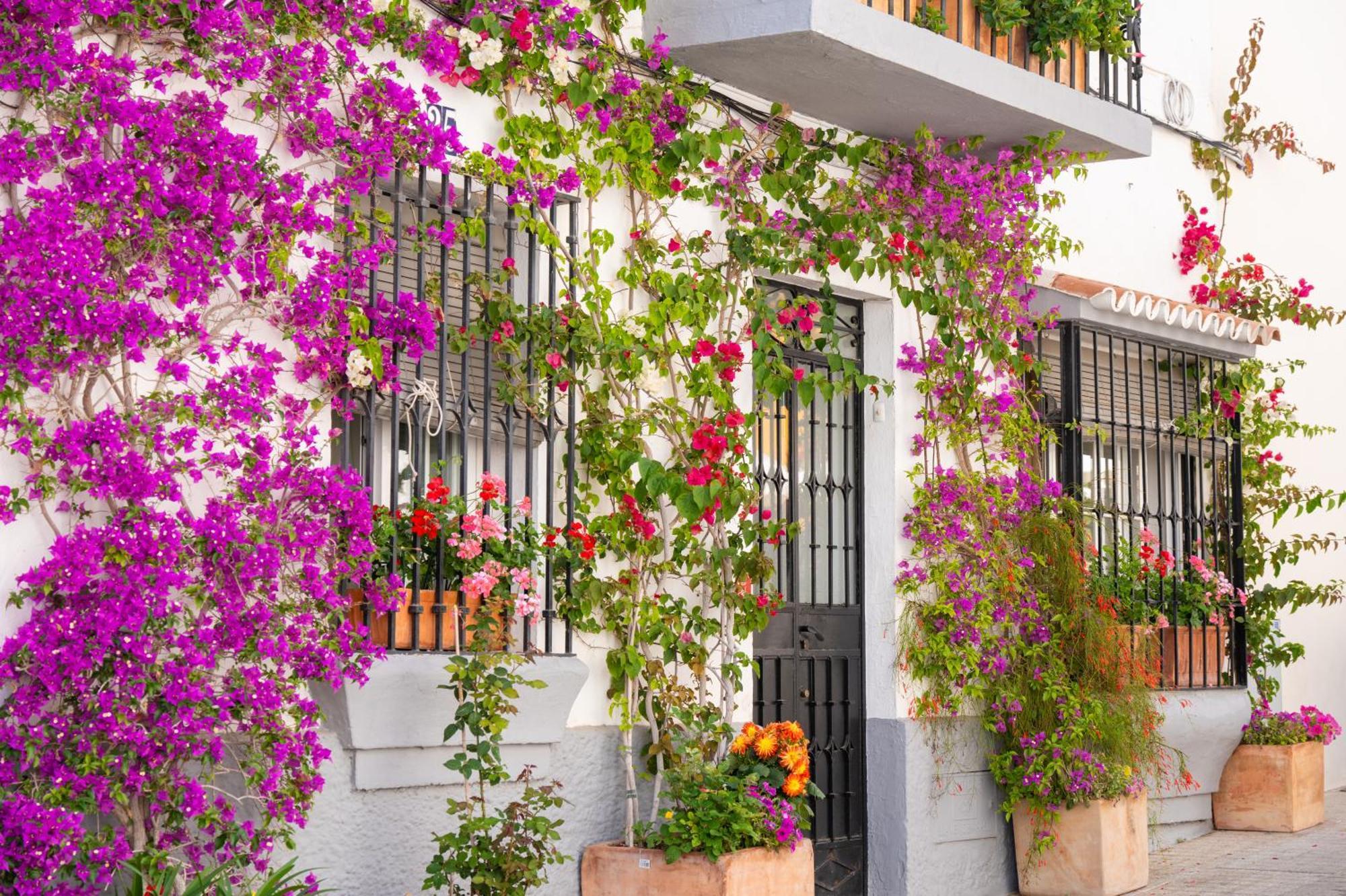 Marbella Luxury Duplex 106 Close To The Beach מראה חיצוני תמונה